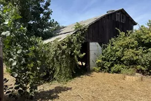305 4th St, San Juan Bautista, CA 95045 - Photo 19