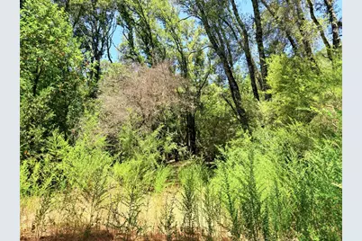 2033 Eureka Canyon Rd, Watsonville, CA 95076 - Photo 9