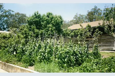 978 Palma St, El Granada, CA 94018 - Photo 39