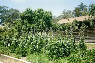 978 Palma St, El Granada, CA 94018 - Photo 39