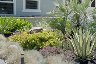 1052 McBain Ave, Campbell, CA 95008 - Photo 5