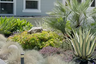 1052 McBain Ave, Campbell, CA 95008 - Photo 5