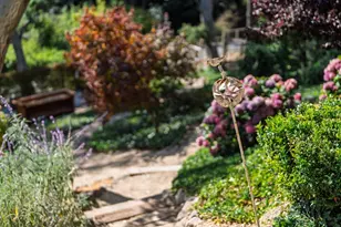 3395 Daffodil Ct, Soquel, CA 95073 - Photo 75
