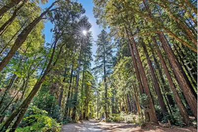 Marthas Way, Aptos, CA 95003 - Photo 63
