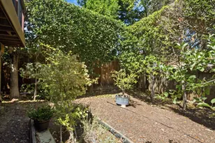 3723 Alameda de las Pulgas, Menlo Park, CA 94025 - Photo 43