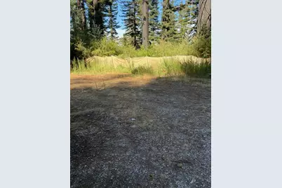12135 Alba Rd, Ben Lomond, CA 95005 - Photo 3