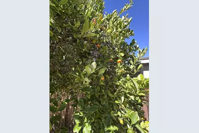 2483 Ocala Ave, San Jose, CA 95122 - Photo 37