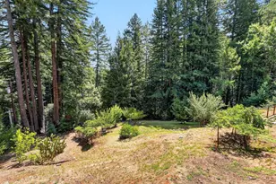303 Sanborn Ln, Felton, CA 95018 - Photo 45