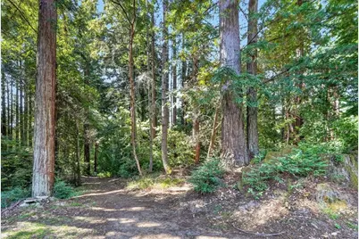 303 Sanborn Ln, Felton, CA 95018 - Photo 49