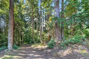 303 Sanborn Ln, Felton, CA 95018 - Photo 49