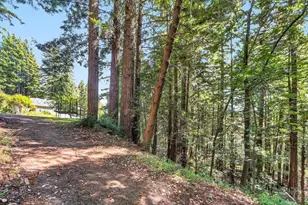 303 Sanborn Ln, Felton, CA 95018 - Photo 47