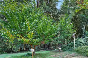 303 Sanborn Ln, Felton, CA 95018 - Photo 41