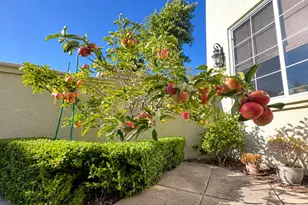 22190 W Lyndon Loop, Castro Valley, CA 94552 - Photo 5