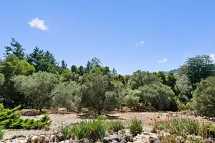 81 Pasatiempo Dr, Santa Cruz, CA 95060 - Photo 99