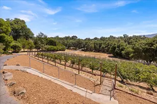 15 Naranja Way, Portola Valley, CA 94028 - Photo 7