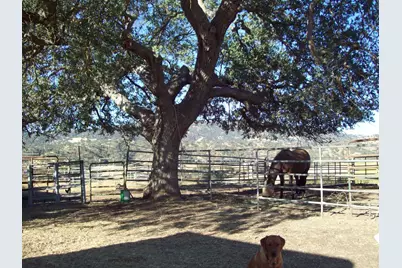 20077 Panoche, Tres Pinos, CA 95075 - Photo 11