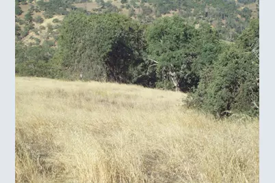 20077 Panoche, Tres Pinos, CA 95075 - Photo 5