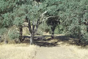 20077 Panoche, Tres Pinos, CA 95075 - Photo 1