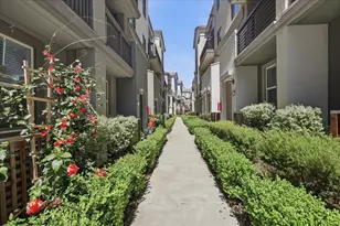 1463 Lavender Loop, Milpitas, CA 95035 - Photo 49