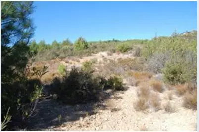 0 Croy Rd, Morgan Hill, CA 95037 - Photo 5