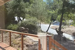 109 Crows Nest Dr, Boulder Creek, CA 95006 - Photo 31