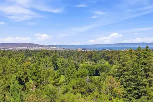 150 New Place Rd, Hillsborough, CA 94010 - Photo 47