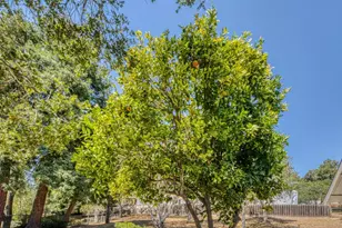 17963 Berta Canyon Rd, Salinas, CA 93907 - Photo 33