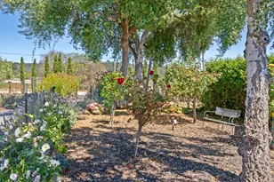145 Coy Dr, Watsonville, CA 95076 - Photo 79