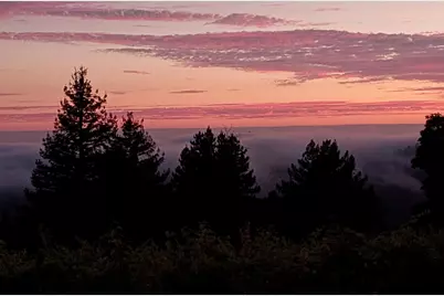 1580 Tindall Ranch Rd, Watsonville, CA 95076 - Photo 131