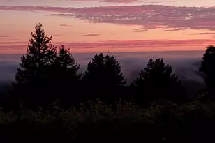1580 Tindall Ranch Rd, Watsonville, CA 95076 - Photo 131