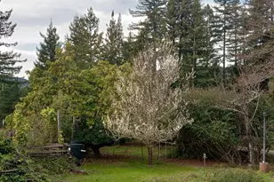 1580 Tindall Ranch Rd, Watsonville, CA 95076 - Photo 69
