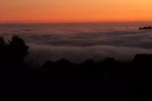 1580 Tindall Ranch Rd, Watsonville, CA 95076 - Photo 91