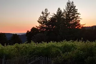 1580 Tindall Ranch Rd, Watsonville, CA 95076 - Photo 31
