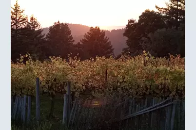 1580 Tindall Ranch Rd, Watsonville, CA 95076 - Photo 125