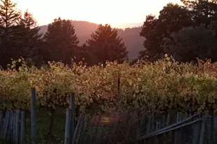 1580 Tindall Ranch Rd, Watsonville, CA 95076 - Photo 125