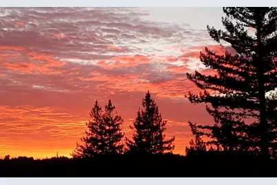1580 Tindall Ranch Rd, Watsonville, CA 95076 - Photo 133