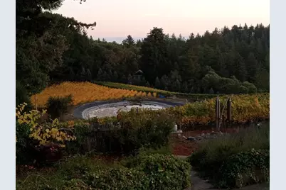 1580 Tindall Ranch Rd, Watsonville, CA 95076 - Photo 77