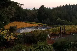 1580 Tindall Ranch Rd, Watsonville, CA 95076 - Photo 77