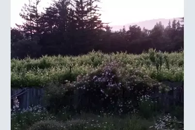 1580 Tindall Ranch Rd, Watsonville, CA 95076 - Photo 29