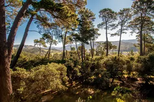 154 Del Mesa Carmel, Carmel, CA 93923 - Photo 3