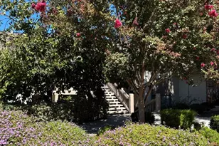 5109 Cribari Pl, San Jose, CA 95135 - Photo 15