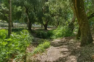2555 San Juan Canyon Rd, San Juan Bautista, CA 95045 - Photo 63