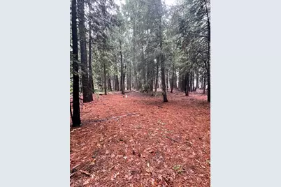 Hide Away Loop, Alta, CA 95701 - Photo 1