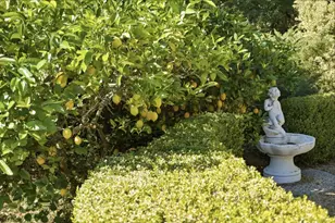 23349 Deerfield Rd, Los Gatos, CA 95033 - Photo 43