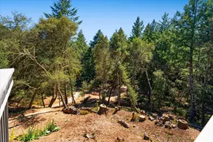 188 Kelly Ln, Santa Cruz, CA 95060 - Photo 63