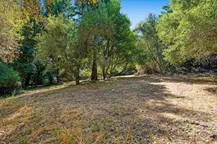 188 Kelly Ln, Santa Cruz, CA 95060 - Photo 73