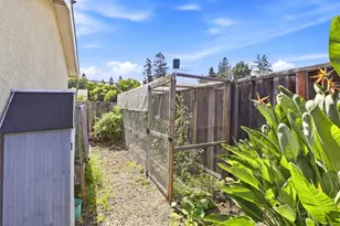 726 Muir Dr, Mountain View, CA 94041 - Photo 69