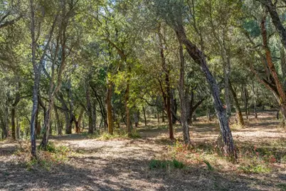 2 Arroyo Sequoia, Carmel, CA 93923 - Photo 21