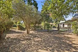916 Franquette Ave, San Jose, CA 95125 - Photo 15