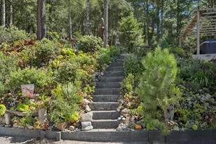 200 S Ranch Rd, Pescadero, CA 94060 - Photo 13